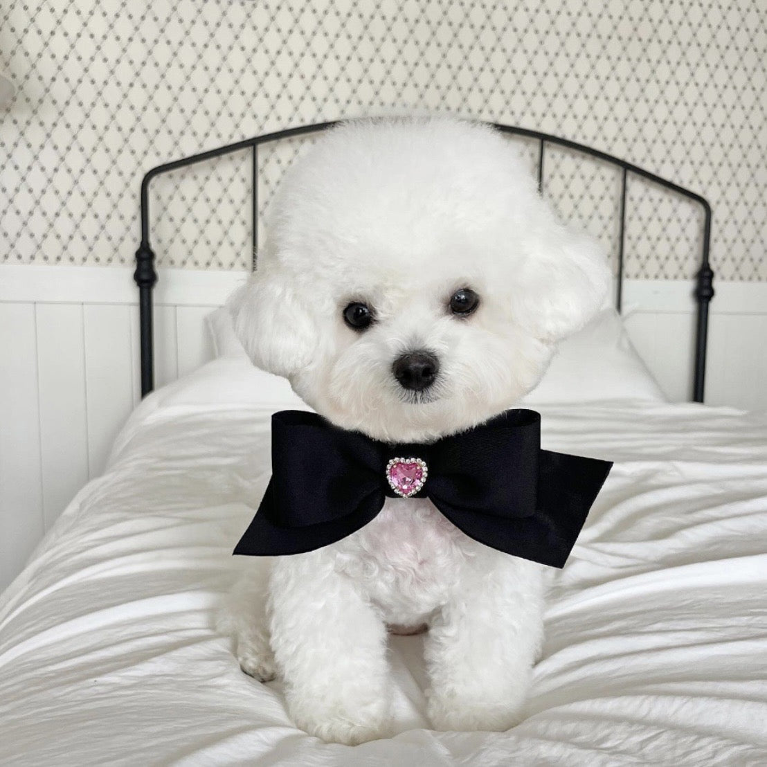 Pet Bow Tie Collar