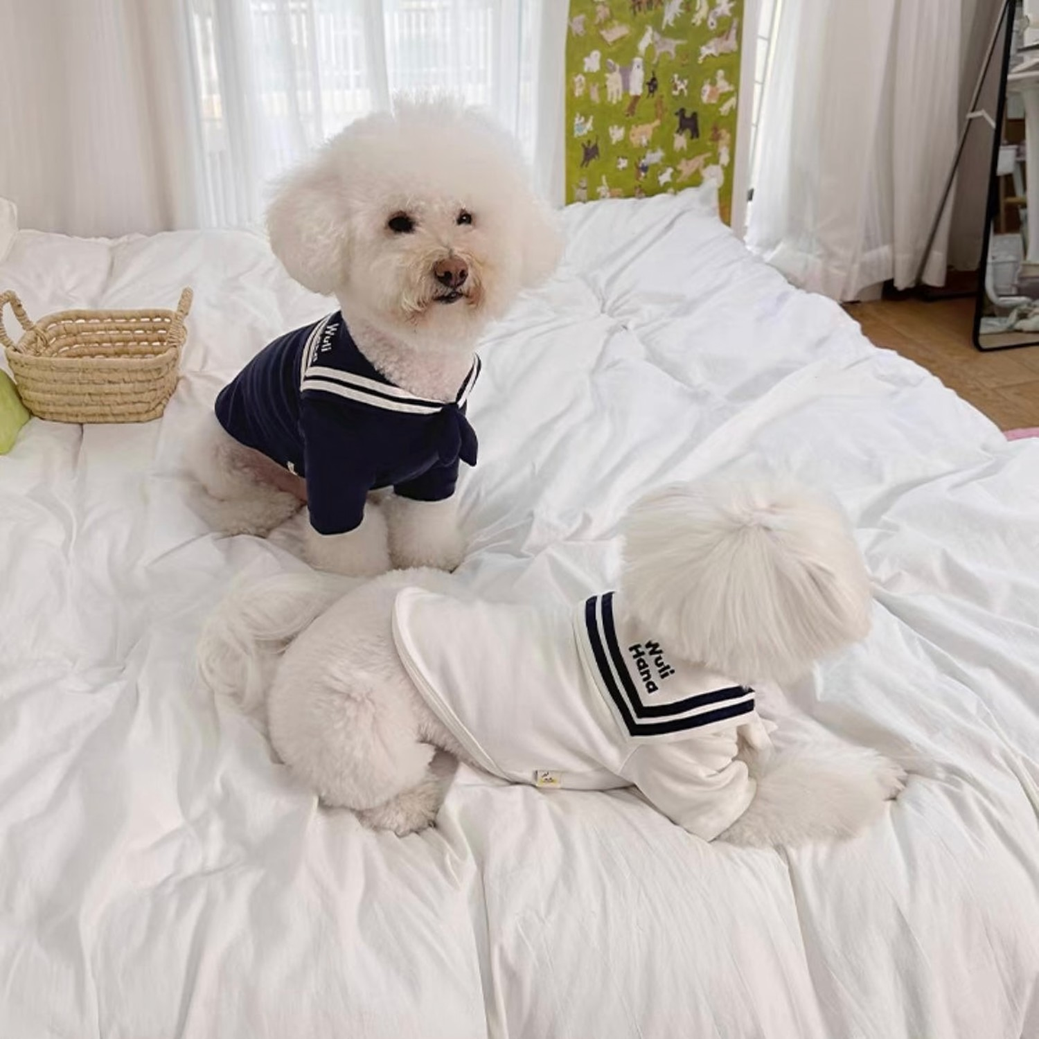 Pet Sailor Outfit