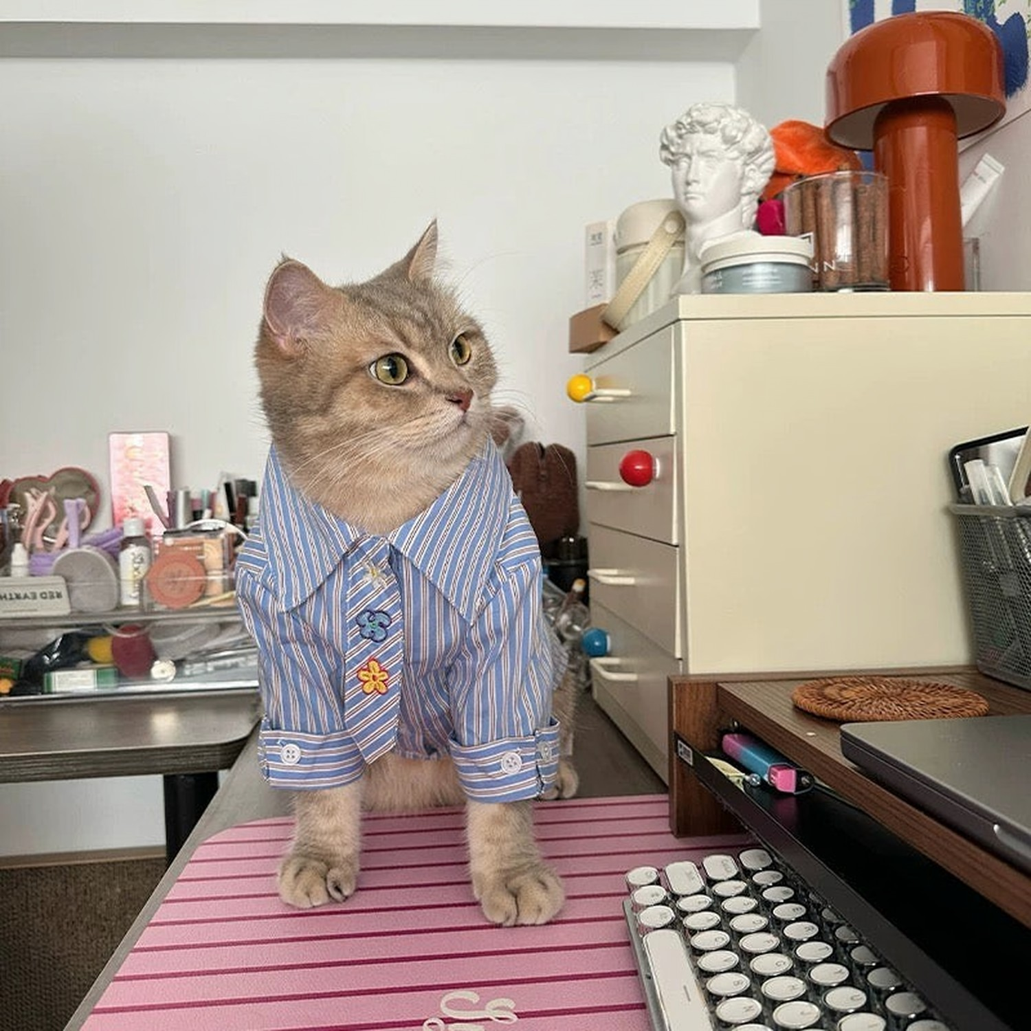 Floral Tie Striped Shirt