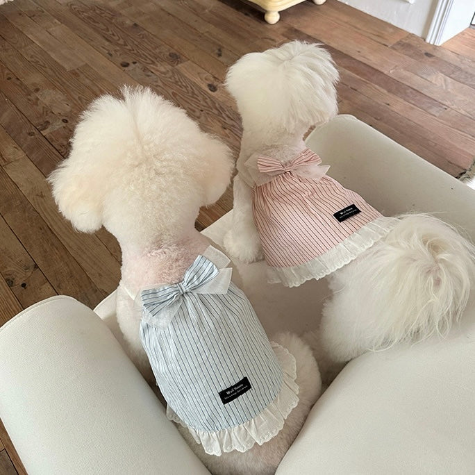 Elegance Lace Pet Dress