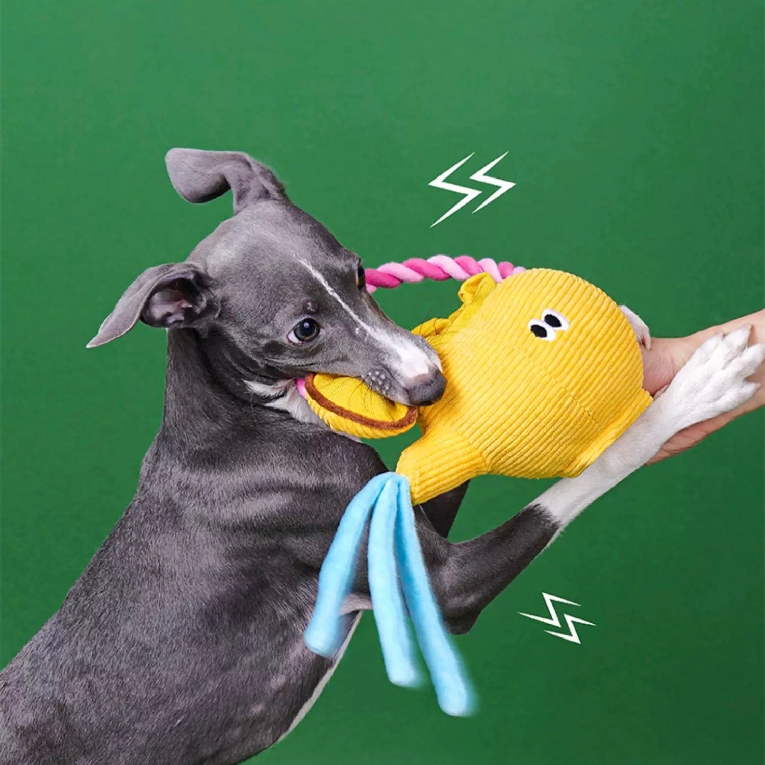 Teapot Chew Rope Dog Toy