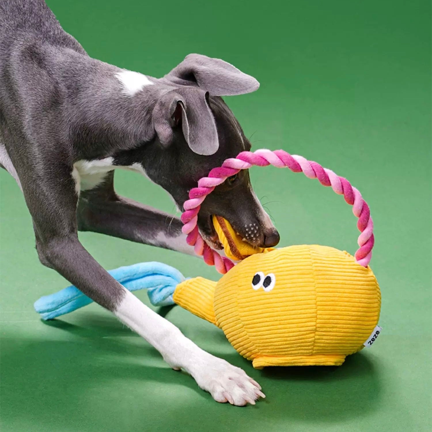 Teapot Dog Chew Rope Toy