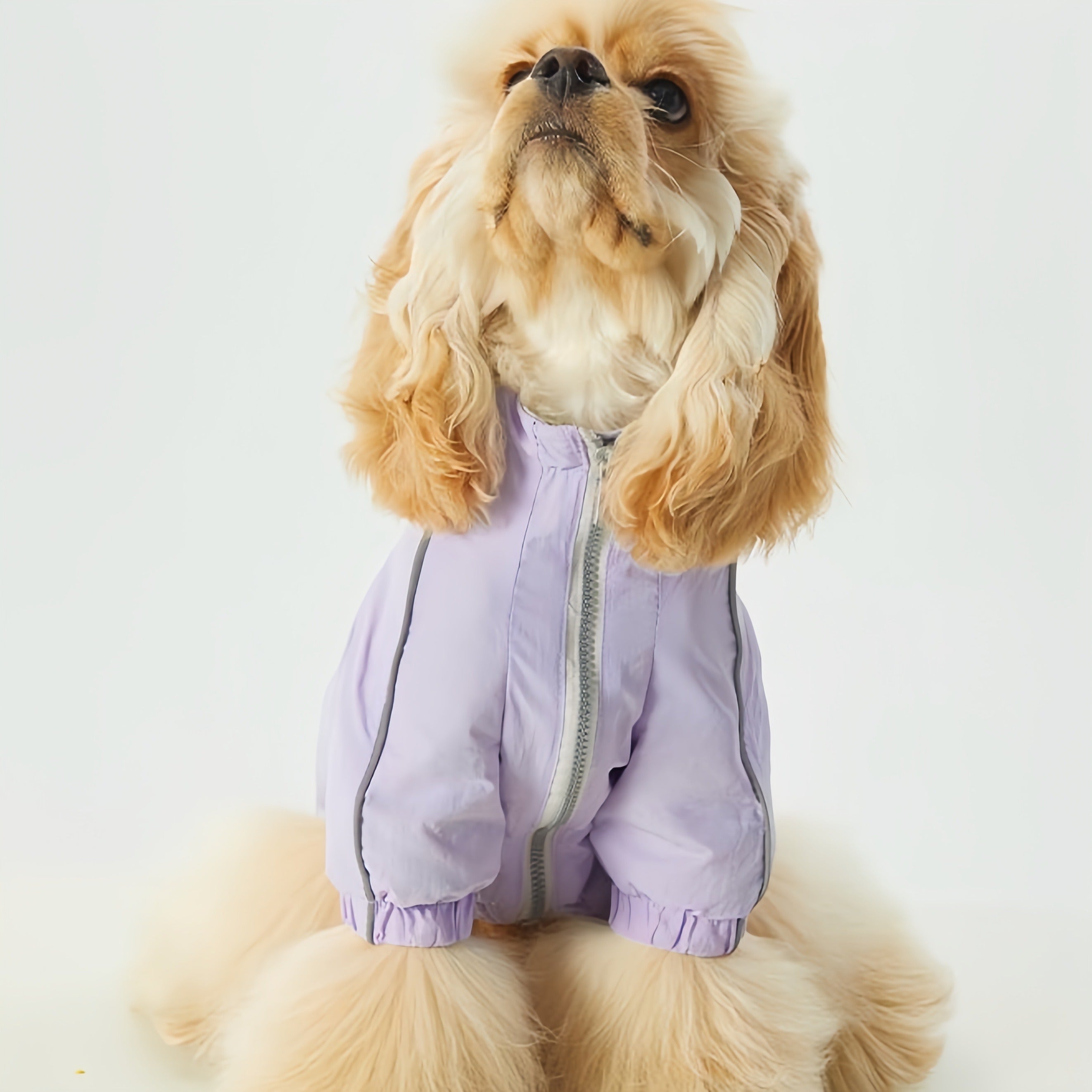 Reflective Pet Raincoat with Butterfly Knot