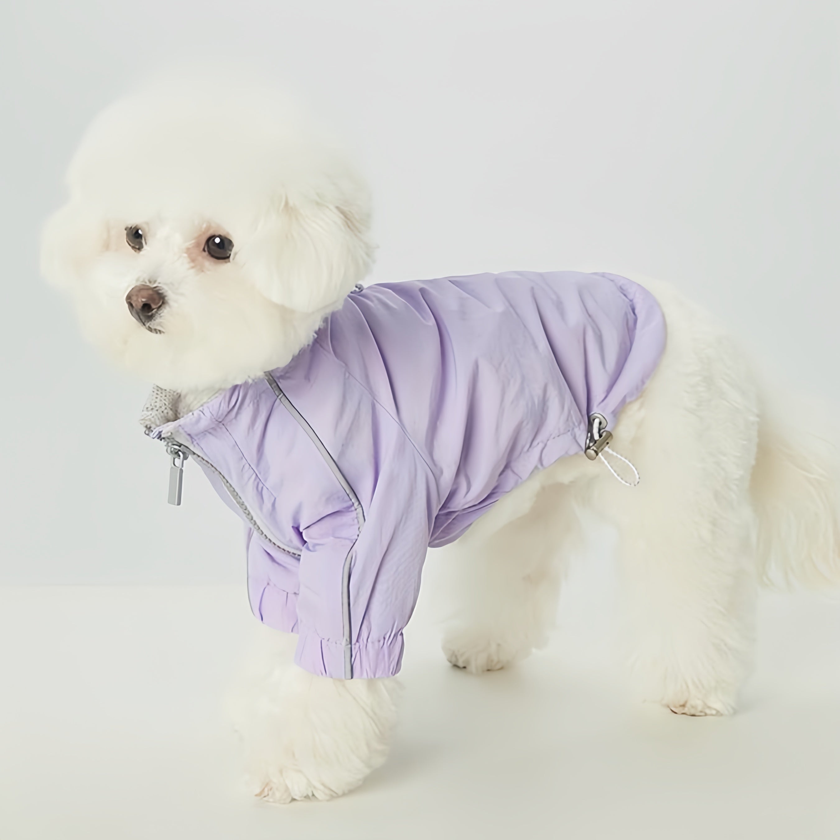 Reflective Pet Raincoat with Butterfly Knot