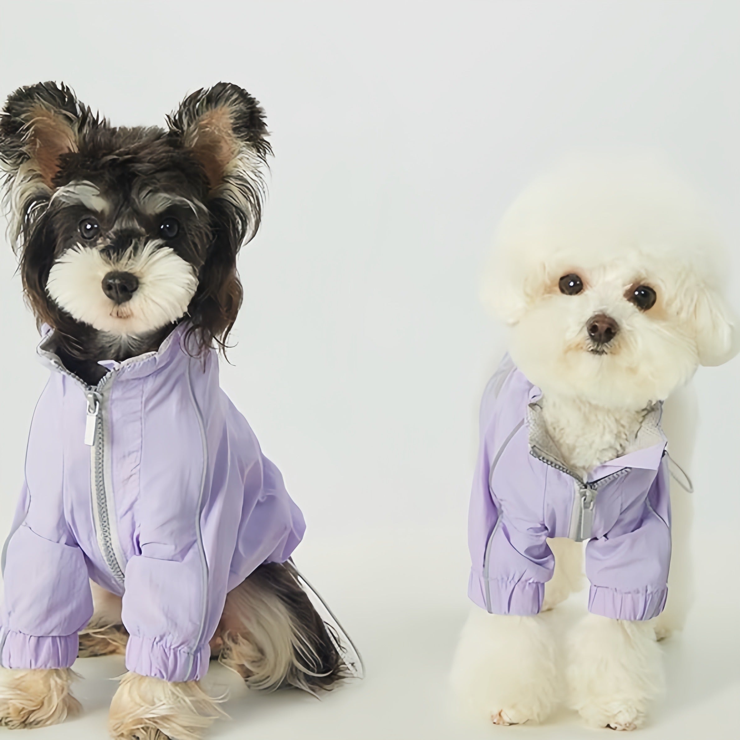 Reflective Pet Raincoat with Butterfly Knot