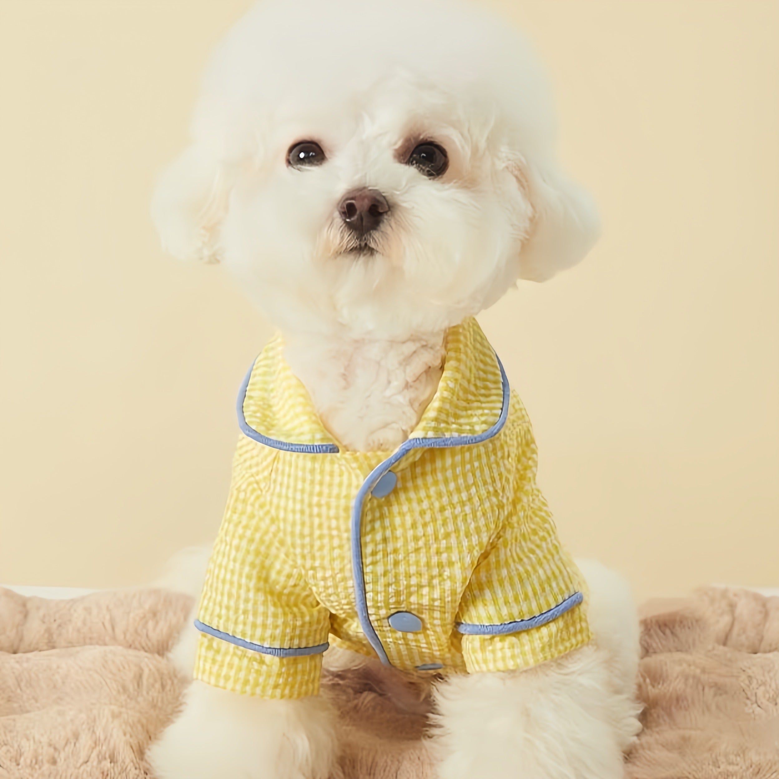 Summer Dog Pajamas