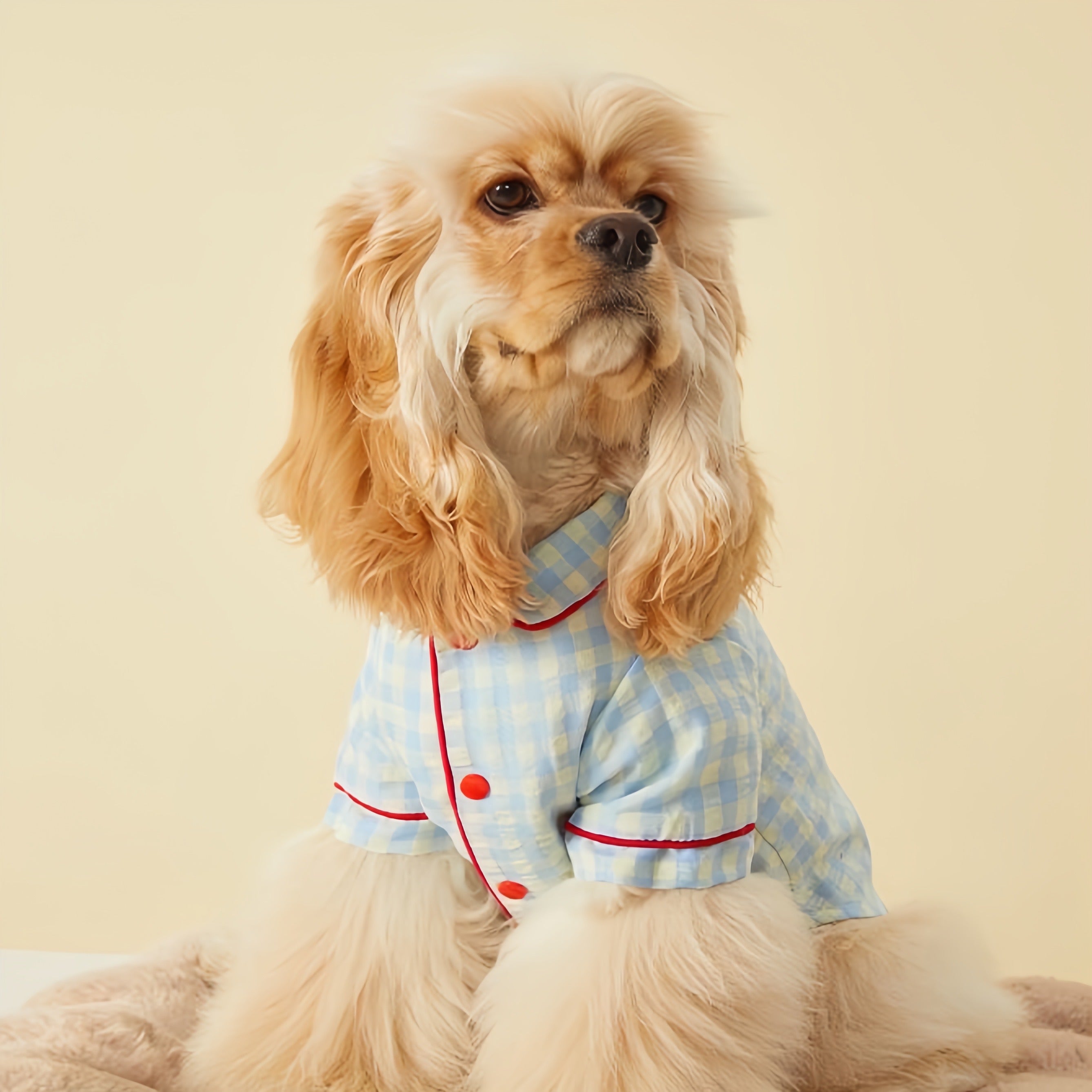 Summer Dog Pajamas