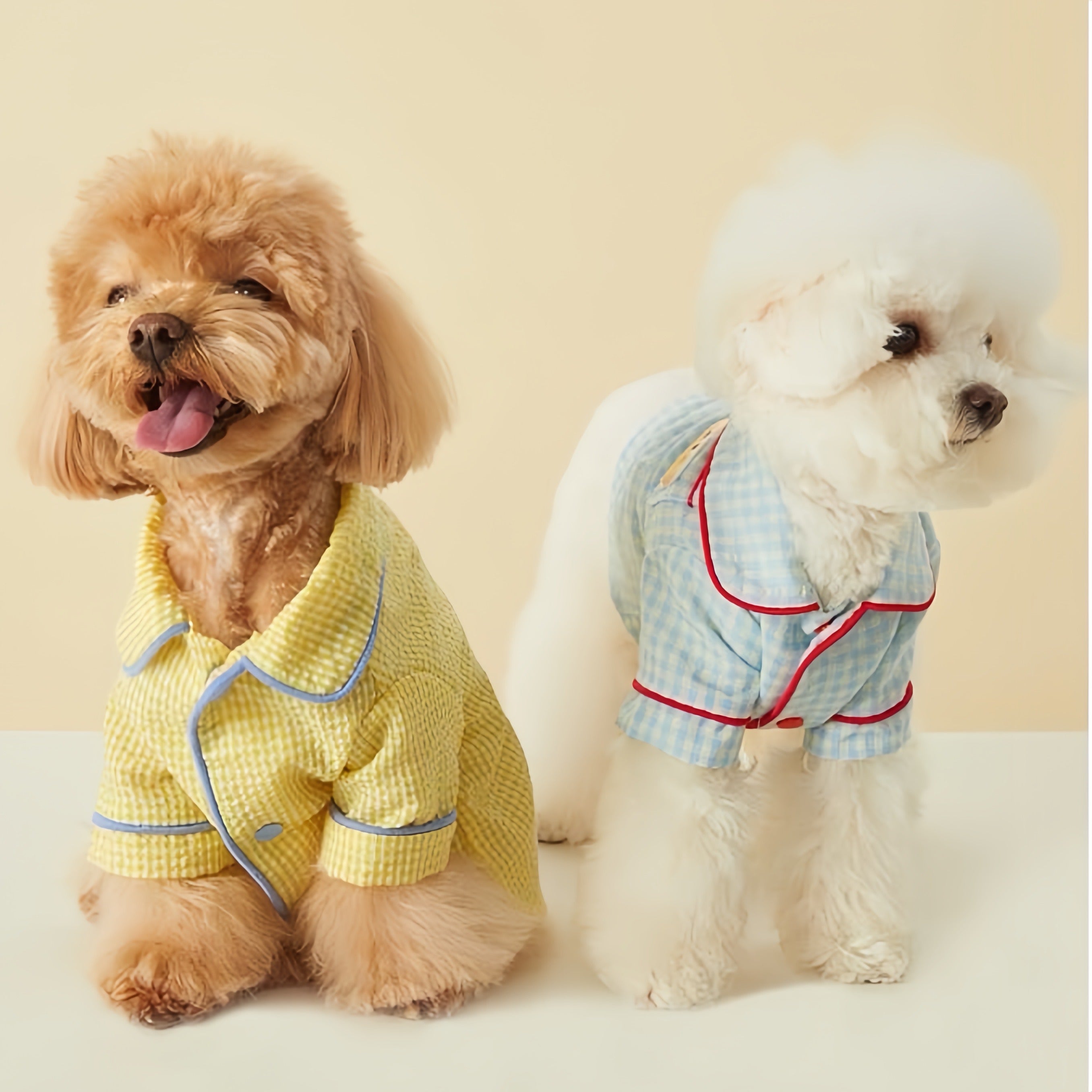 Summer Dog Pajamas