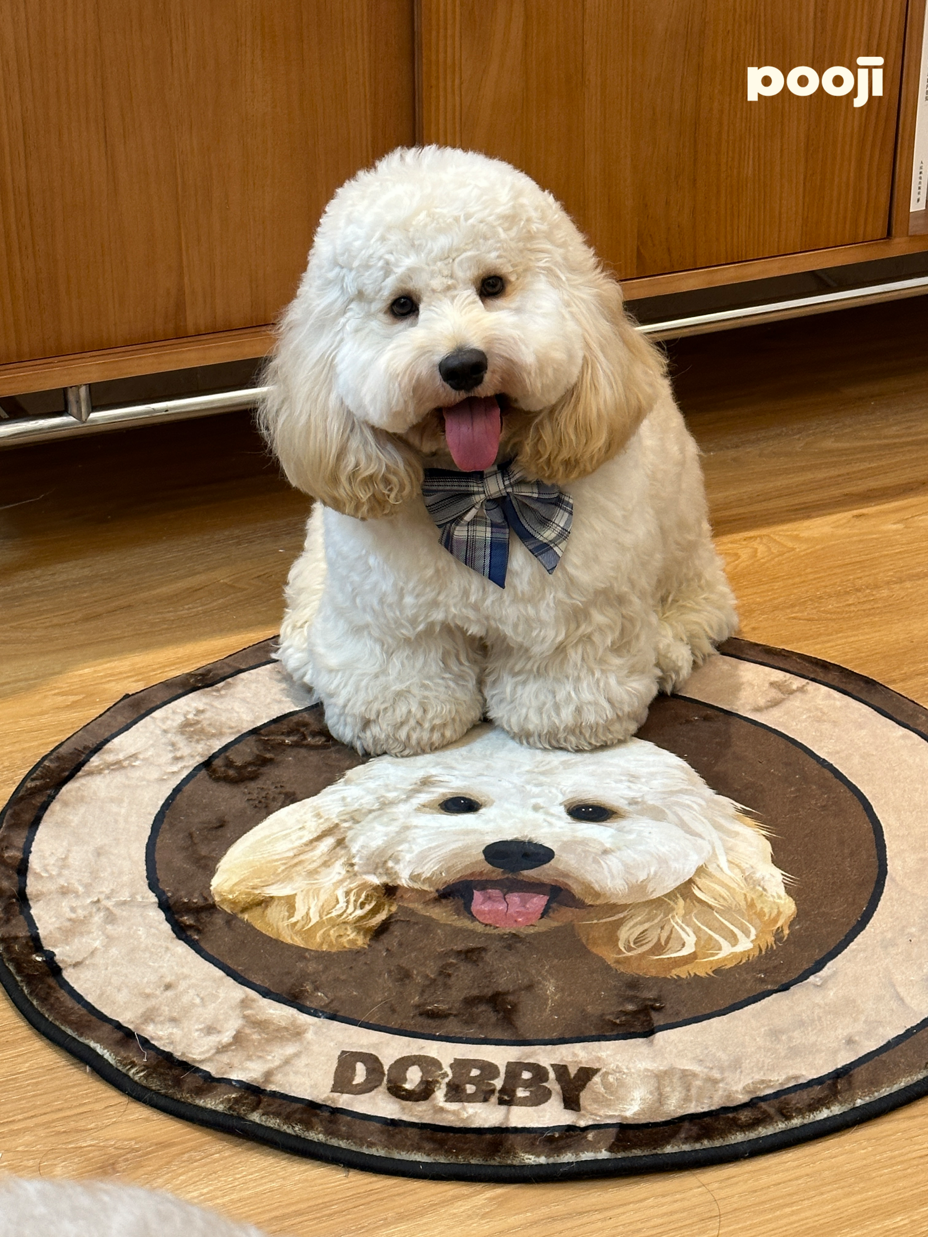 Personalized Velvet Carpet